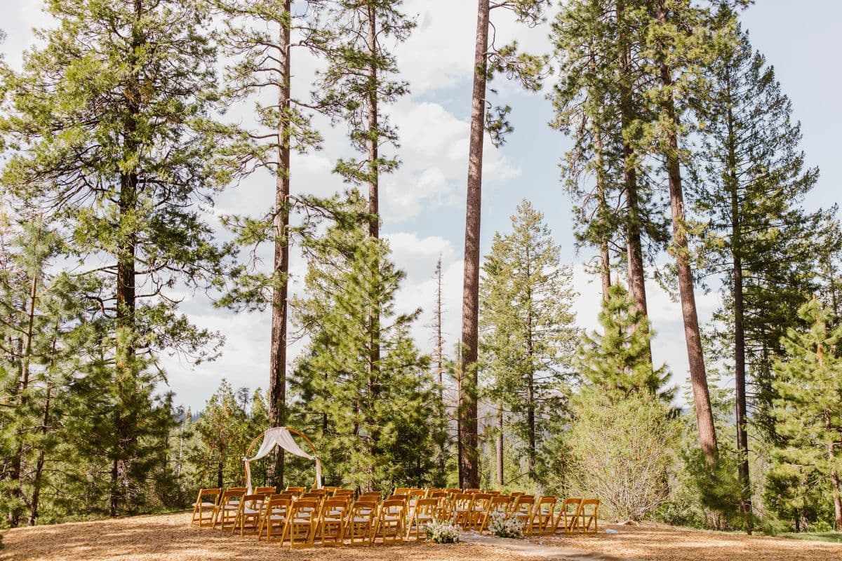 Link to Activity: Weddings