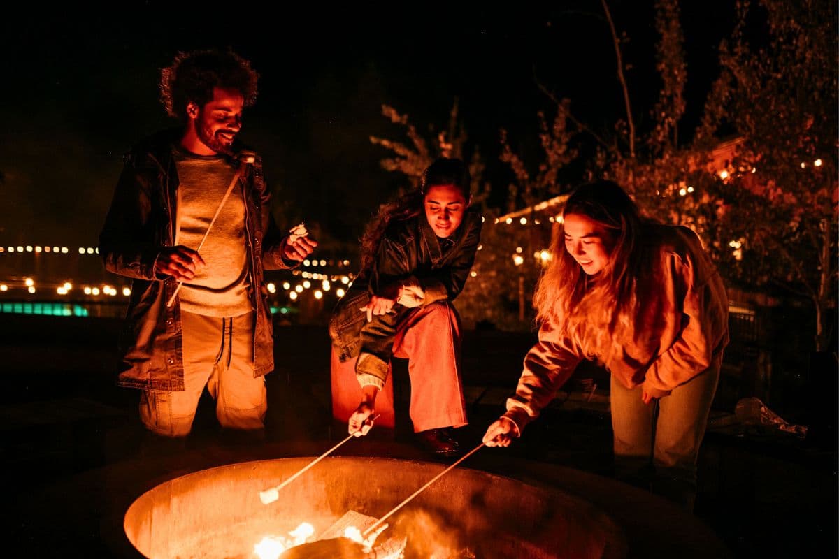 Link to Activity: Fall & Winter
